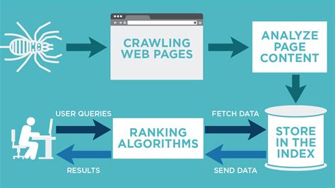 How to Make Google Crawl Your Website: A Journey Through the Digital Forest